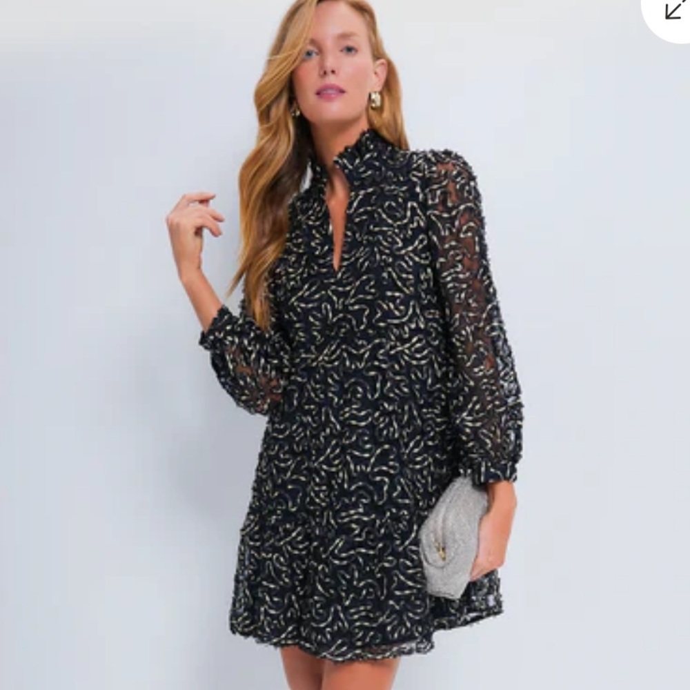 TUCKERNUCK
Nightly Organza Palmerston Dress RT $198 gold black holiday SMALL
